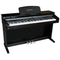 Delson Concerto 8877 + banquette