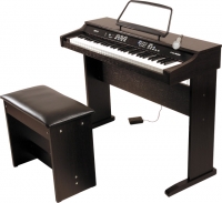 Delson NP10 + micro + pédale + banc