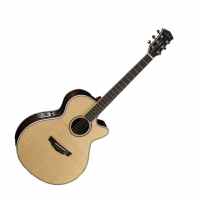 Parkwood Beast Acoustiques PW-570NAT