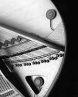 Schertler DYN-GP-SET