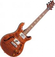 PRS HOLLOW 1 TORTOISE BIRDS
