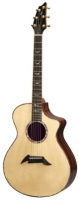 Breedlove Master Class Series Exotic