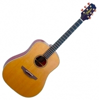 Takamine TN10
