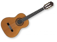 Stagg C series C837S