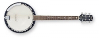 Stagg BJM30G
