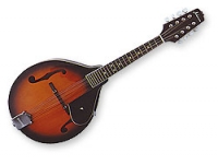 Recording King 120SB