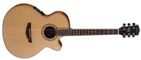 Parkwood Acoustiques PW-470NS
