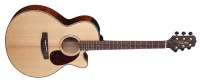 Takamine G series EG4555SC
