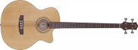 Guild Basse B-54CE Standard