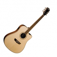 Washburn WCD18CE