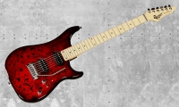 Vigier Excalibur Thirteen