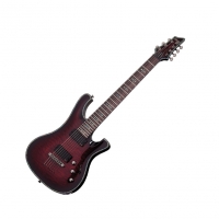 Schecter Hellraiser 007