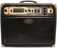 Peavey Ecoustic 110