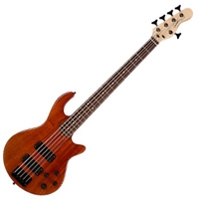 Godin Performance Freeway 5 cordes active