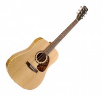 Norman B18 Cedar Protege