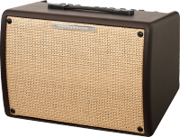 Ibanez Troubadour T30II