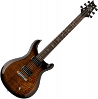 PRS SE Paul's Guitar