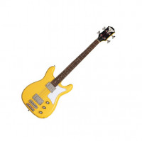 Epiphone Newport Bass