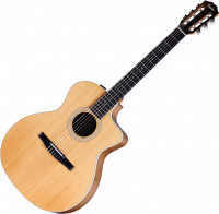 Taylor 214ce-N