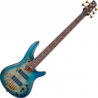 Ibanez SR Prestige Japan SR6605 GFB 5-String