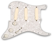 EMG DG-20 Kit Plaque micros David Gilmour