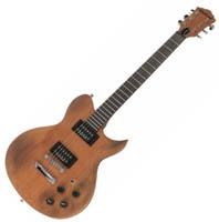 Washburn Idol WI65 Pro