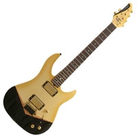 Brian Moore Custom C55P