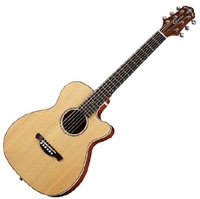 Crafter Lite Series TRV 23