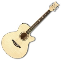 Daisy Rock Wildwood Artist Acoustic-Electric