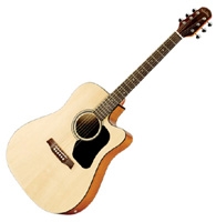 Walden Serie 300 D350 CE