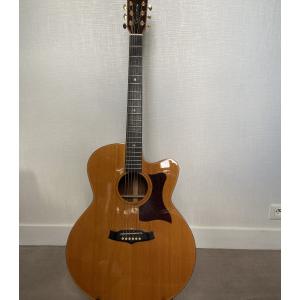 Vends guitare électroacoustique Tanglewood TW 55HB