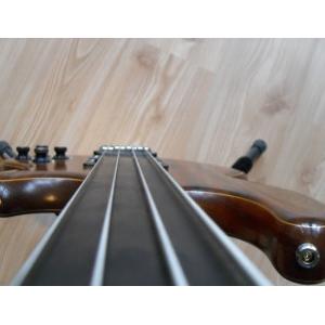 WAL MK 2 Custom Bass 1991 fretless