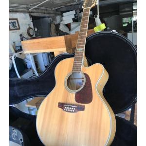 Takamine 12 cordes dans son etui rigide