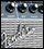 Fender Super Champ XD : la polyvalence à portée de tous