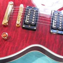 Epiphone Prophecy Les Paul Custom GX