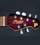 Sterling John Petrucci 50