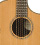 Breedlove C25/CHR Pro