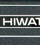 Hiwatt Higain 100
