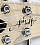 Ibanez Ashula SR2010