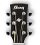Ibanez AC-240