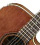 Ibanez AW 250 ECE