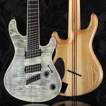 Mayones Regius 8 VFrets