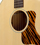 Gibson J-35
