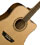 Washburn WD10 SCE série Heritage