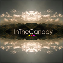 [Scène Ouverte] In the Canopy – Never Return