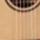Takamine P3MC