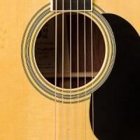Martin D-35 Brazilian 50th Anniversary – NAMM 2015