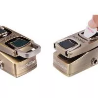 Mooer Mini Series The Wahter