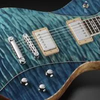 Framus plonge dans la grande bleue