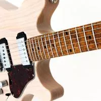 Une MusicMan pour la St Valentin?